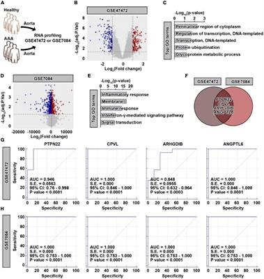 Identification of PTPN22 as a potential genetic biomarker for abdominal aortic aneurysm